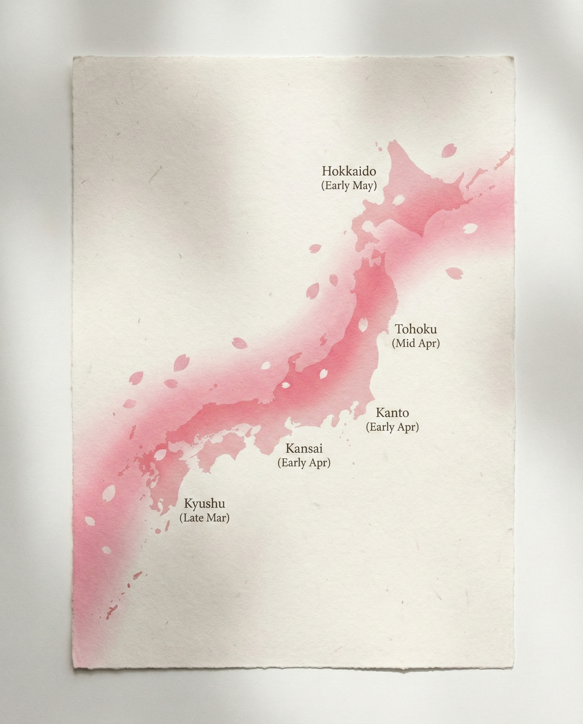 Cherry Blossom Map of Japan